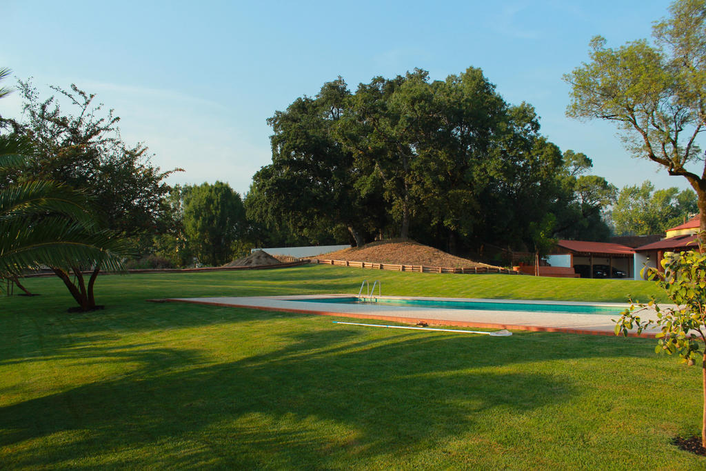 Villa Quinta de Lograssol Mealhada Esterno foto