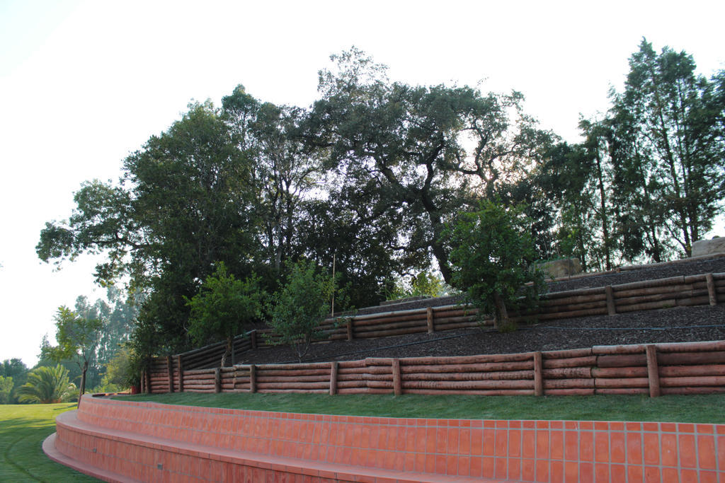 Villa Quinta de Lograssol Mealhada Esterno foto